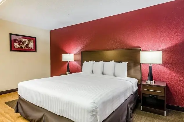 Premium Oda, 1 En Büyük (King) Boy Yatak, Engellilere Uygun (Upgraded Bedding&Snack Box, RI Shower)