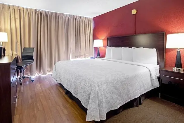 Premium Oda, 1 En Büyük (King) Boy Yatak (Upgraded Bedding & Snack, Smoke Free)