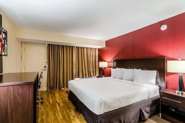 Premium Oda, 1 En Büyük (King) Boy Yatak (Upgraded Bedding & Snack, Smoke Free)
