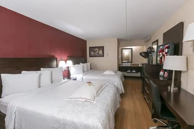 Premium Oda, 2 Çift Kişilik Yatak (Upgraded Bedding & Snack, Smoke Free)