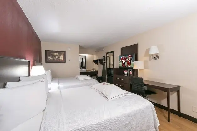 Premium Oda, 2 Çift Kişilik Yatak (Upgraded Bedding & Snack, Smoke Free)