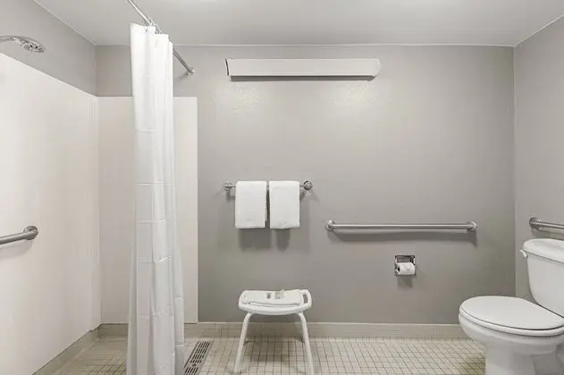 Superior Oda, 1 En Büyük (King) Boy Yatak, Engellilere Uygun (Roll-In Shower, Smoke Free)