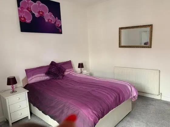 Basic Double Room - Purple Room