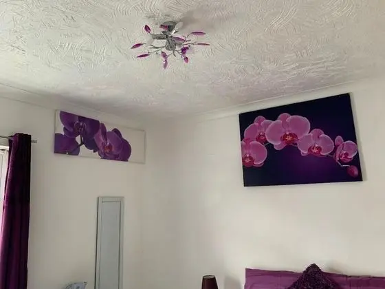 Basic Double Room - Purple Room