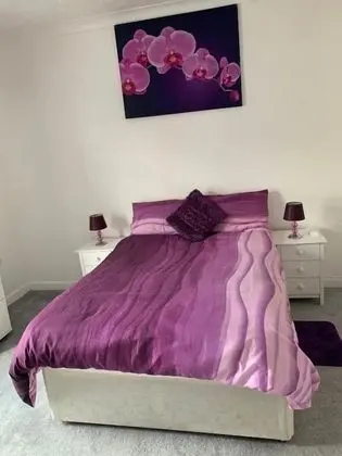 Basic Double Room - Purple Room