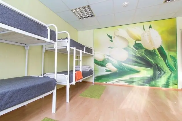 Ortak Ranzalı Oda, Sadece erkekler için (1 Bed in 8 Person Dorm)