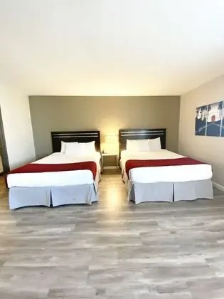Standard Tek Büyük Yataklı Oda, Engellilere Uygun (ADA)