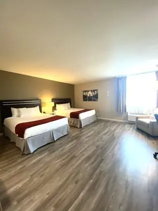 Standard Tek Büyük Yataklı Oda, Engellilere Uygun (ADA)