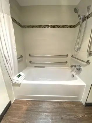 Standard Tek Büyük Yataklı Oda, Engellilere Uygun (ADA)