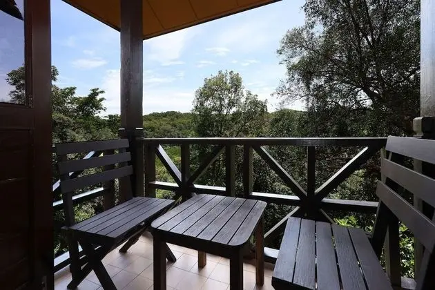 Dağ Evi (Rainforest)