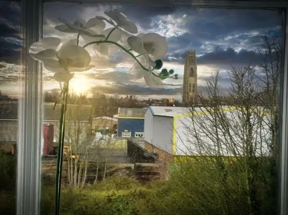 Superior Ev, Özel Banyo, Park Manzaralı