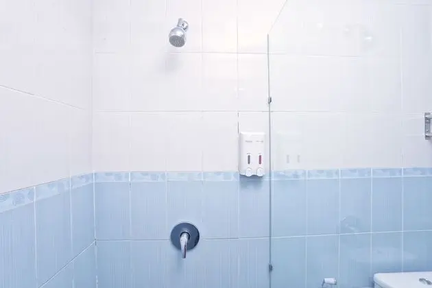 Standard Tek Büyük Yataklı Oda, 1 Çift Kişilik Yatak