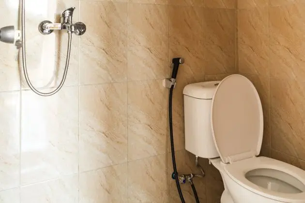 Çift ​​kişilik Standard