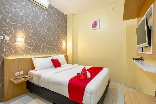 Tek Büyük Yataklı Oda (Reddoorz)