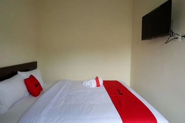 Tek Büyük Yataklı Oda (Reddoorz)