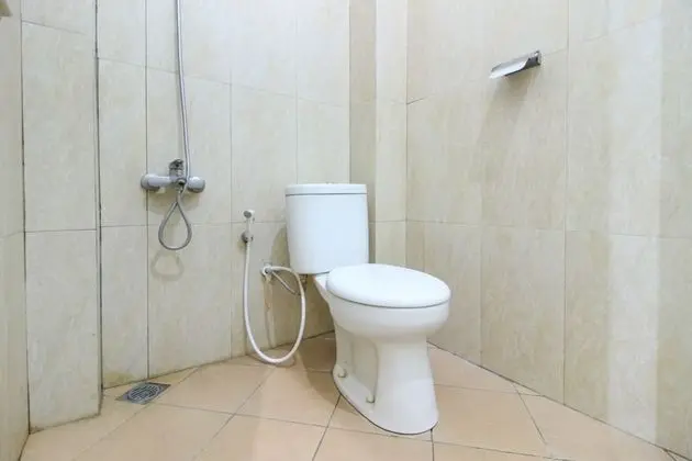 Oda Standard