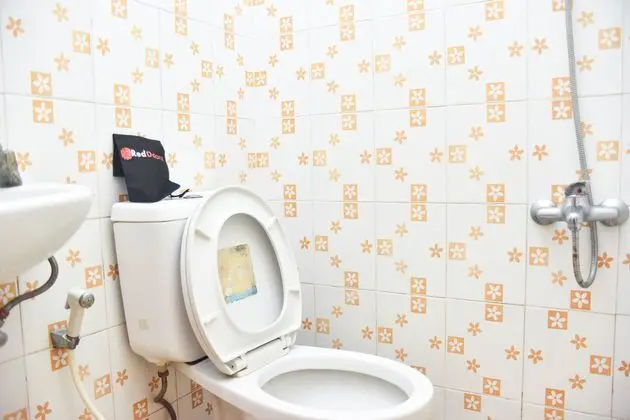 Çift ​​kişilik Standard