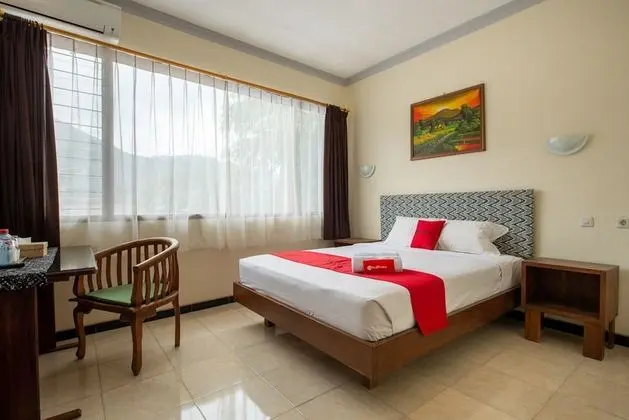 Premium Tek Büyük Yataklı Oda (Reddoorz)