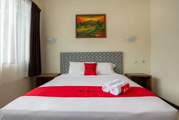 Premium Tek Büyük Yataklı Oda (Reddoorz)