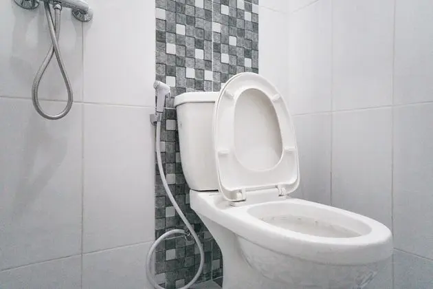 Çift ​​kişilik Standard