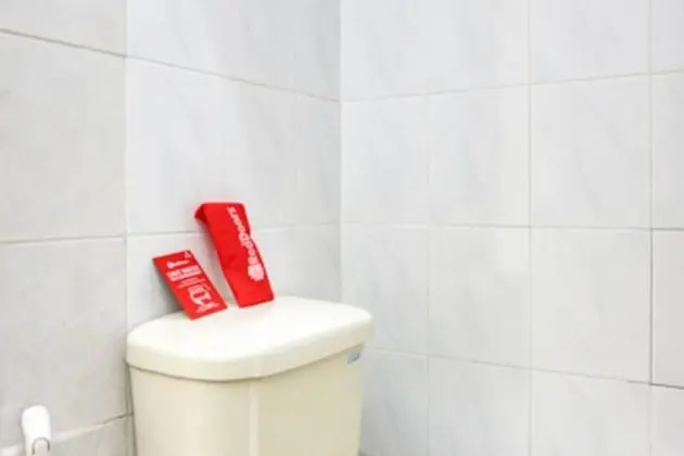 Tek Büyük Yataklı Oda (Reddoorz)