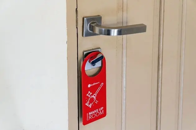 Tek Büyük Yataklı Oda (Reddoorz)