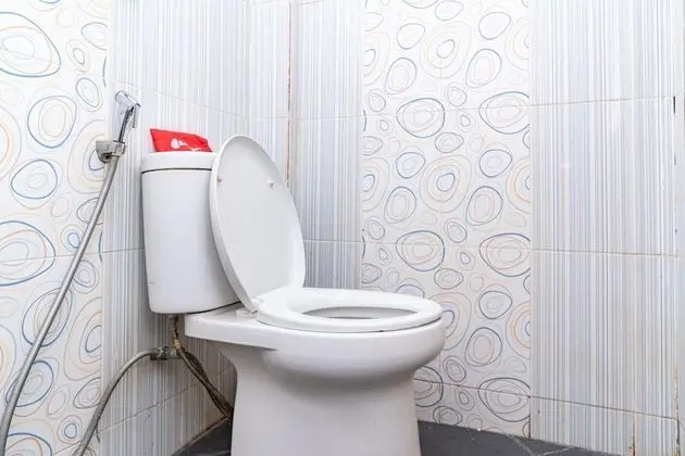 Tek Büyük Yataklı Oda (Reddoorz)