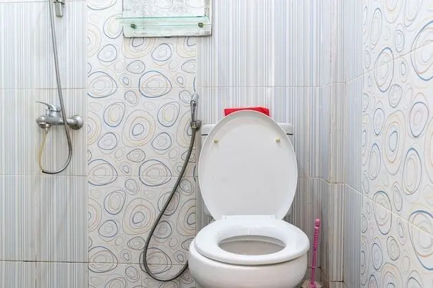 Tek Büyük Yataklı Oda (Reddoorz)