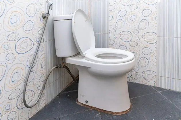 Tek Büyük Yataklı Oda (Reddoorz)