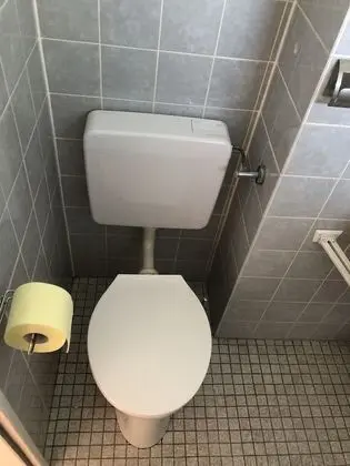 Basic Stüdyo