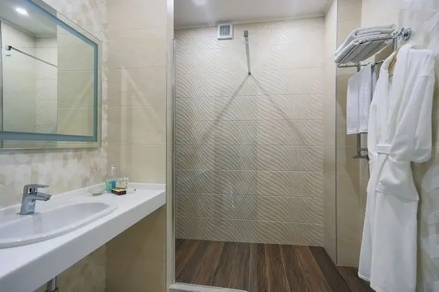 Superior Tek Büyük Yataklı Oda, 1 En Büyük (King) Boy Yatak ve Çekyat, Şehir Manzaralı
