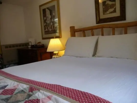 Superior Tek Büyük Yataklı Oda, Özel Banyo (Room 11 - Pet-friendly)