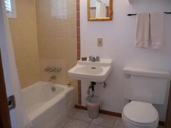 Superior Tek Büyük Yataklı Oda, Özel Banyo (Room 11 - Pet-friendly)