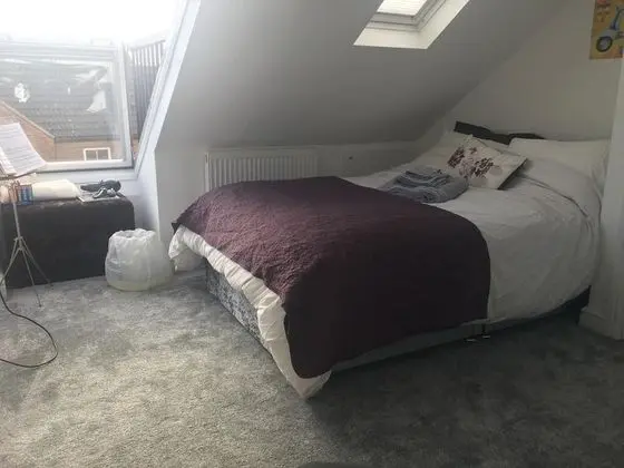 Deluxe Tek Kişilik Oda, Banyolu/Duşlu (Small double bed )