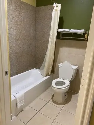 Deluxe Tek Kişilik Oda, 1 En Büyük (King) Boy Yatak, Sıcak Su Havuzu