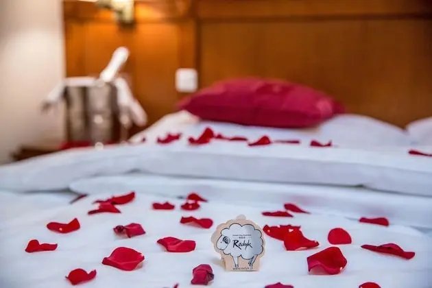 Premium Tek Büyük Yataklı Oda, Balkon, Dağ Manzaralı