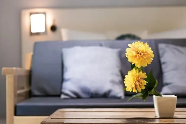 Stüdyo, 1 Yatak Odası, Balkon, Okyanus Manzaralı