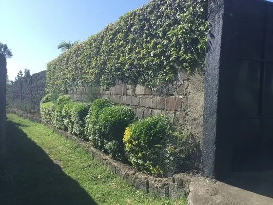 Bungalov, 2 Yatak Odası, Engellilere Uygun, Balkon