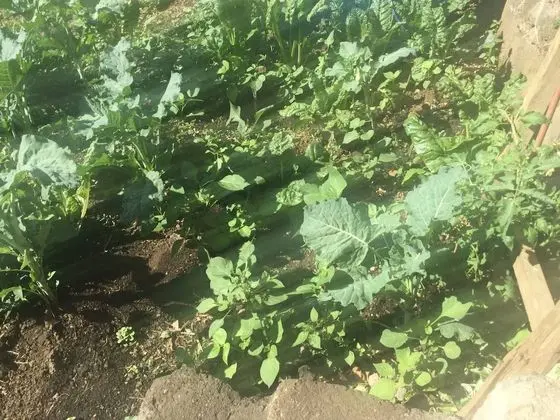 Bungalov, 2 Yatak Odası, Engellilere Uygun, Balkon