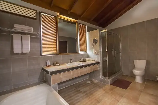 Deluxe Tek Büyük Yataklı Oda (Water)
