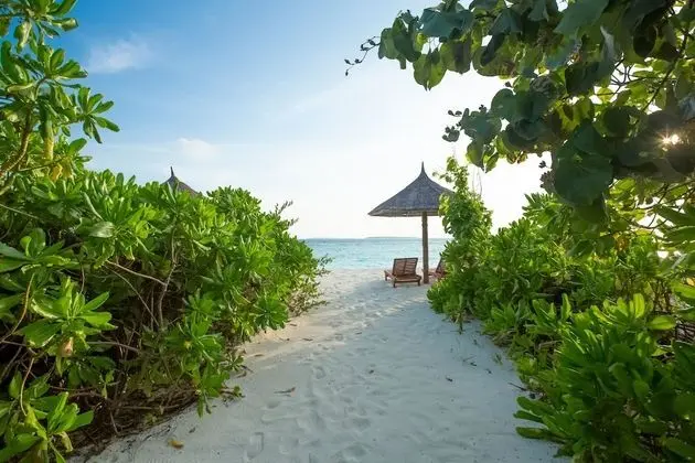 Deluxe Villa, 1 En Büyük (King) Boy Yatak ve Çekyat (Beach)