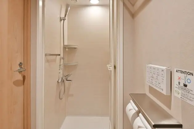 Tek Büyük Yataklı Oda, Sigara İçilmez (Shower booth)