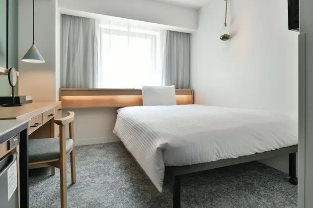 Tek Büyük Yataklı Oda, Sigara İçilmez (with shower booth)