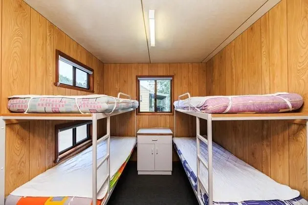 Standard Bungalov (Standard Cabin 6pax (Bungalow))