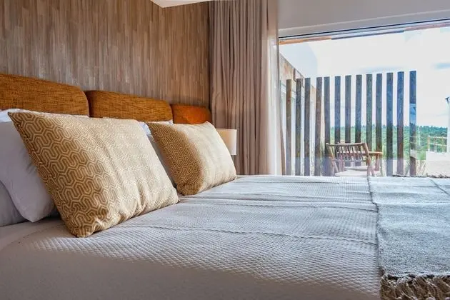 Deluxe Tek Büyük veya İki Ayrı Yataklı Oda