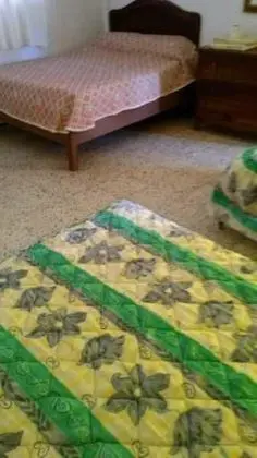 Basic Üç Kişilik Oda, Birden Çok Yatak, Şehir Manzaralı
