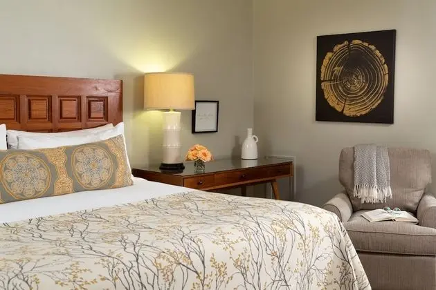 Deluxe Oda, 1 En Büyük (King) Boy Yatak