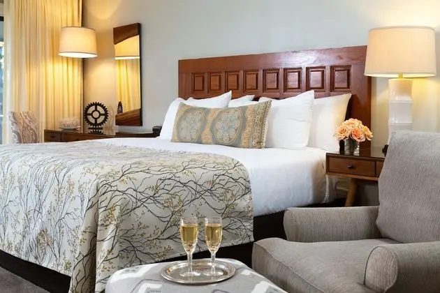 Deluxe Oda, 1 En Büyük (King) Boy Yatak