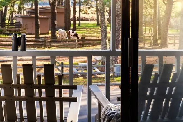 Deluxe Oda, 2 Büyük (Queen) Boy Yatak