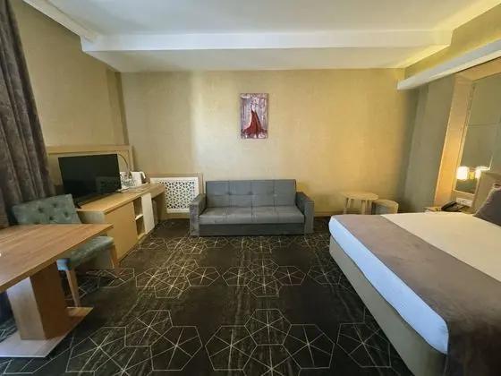 Executive Tek Büyük Yataklı Oda